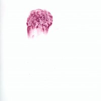 Pastel rose sur calque 21 x 29,7cm 2008  nuques david 5